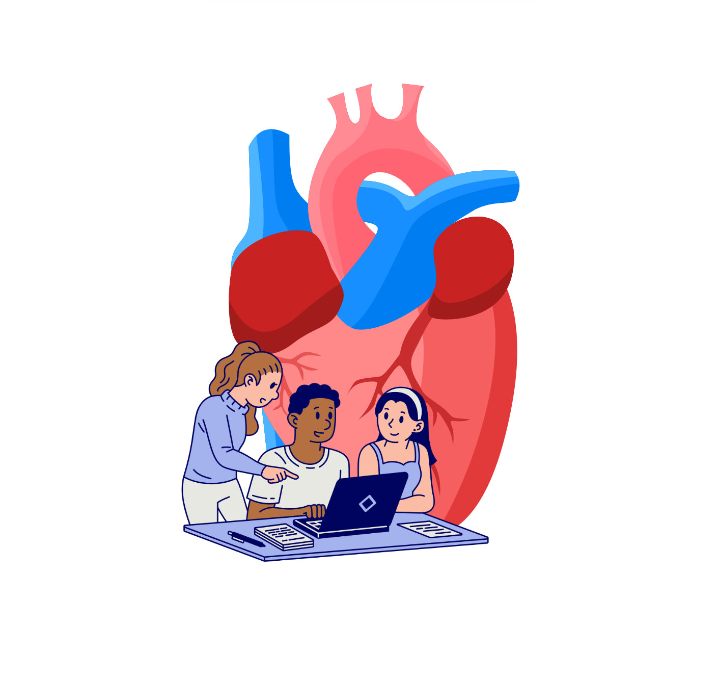 Système cardiovasculaire